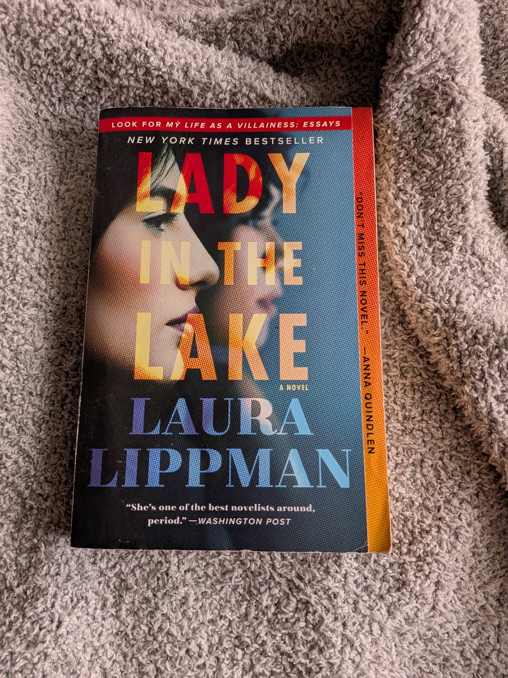 🌼B2G1🌼 The Lady in the Lake by Laura Lippman Trade Paperback
